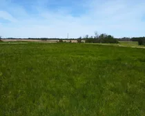 DJI_0533.JPG