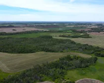 DJI_0540-1.JPG