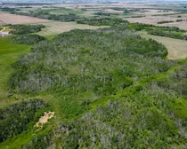 DJI_0551.JPG