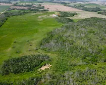 DJI_0552.JPG