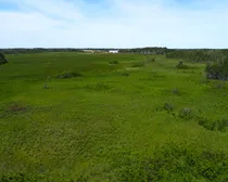 DJI_0556.JPG