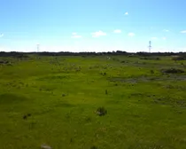 DJI_0718.JPG