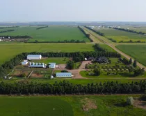 DJI_0852.JPG