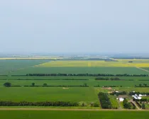 DJI_0904.JPG