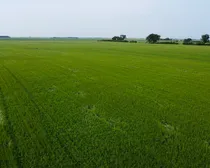 DJI_0905.JPG