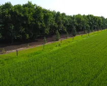 DJI_0908.JPG