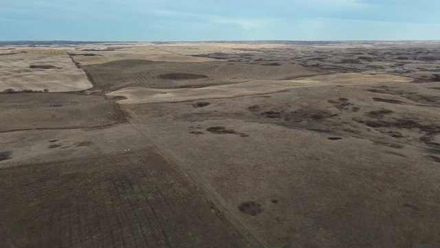 DJI_20251024091934_0061_D