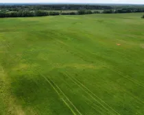 Gillies SE 21-51-12-W3 Road