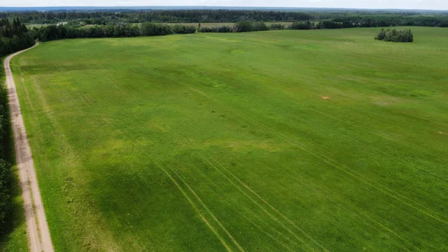 Gillies SE 21-51-12-W3 Road