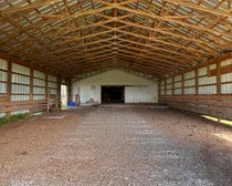 IMG_3032-1.jpeg