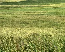 IMG_9636.jpeg