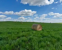 Kropf-21.jpeg