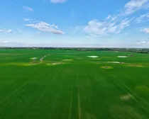 Land13-1.jpeg