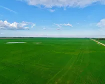 Land14-1.jpeg