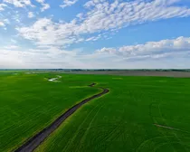Land16-1.jpeg