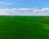 Land19.jpeg