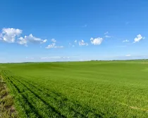 Land22.jpeg