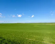 Land23.jpeg