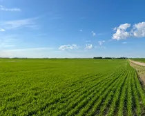 Land25.jpeg