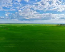 Land3-1.jpeg