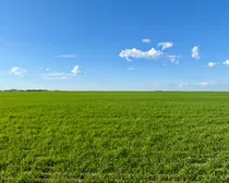 Land30.jpeg