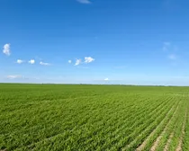 Land31.jpeg