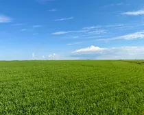 Land34.jpeg