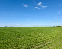 Land35.jpeg