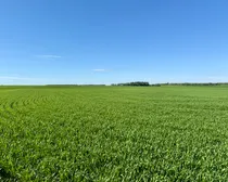 Land38.jpeg