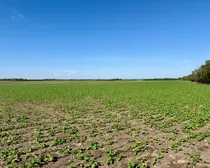 Land39.jpeg