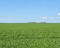 Land41.jpeg