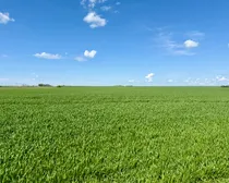 Land43.jpeg