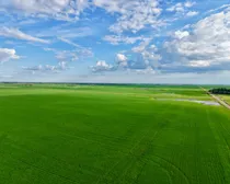 Land45.jpeg