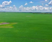 Land46.jpeg