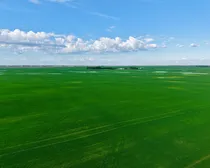Land9-1.jpeg