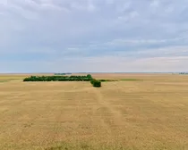 Leippi-22.jpeg