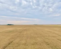 Leippi-3.jpeg