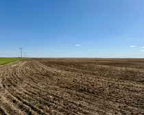 Lumsden-1.jpeg