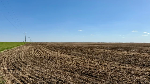 Lumsden-1.jpeg