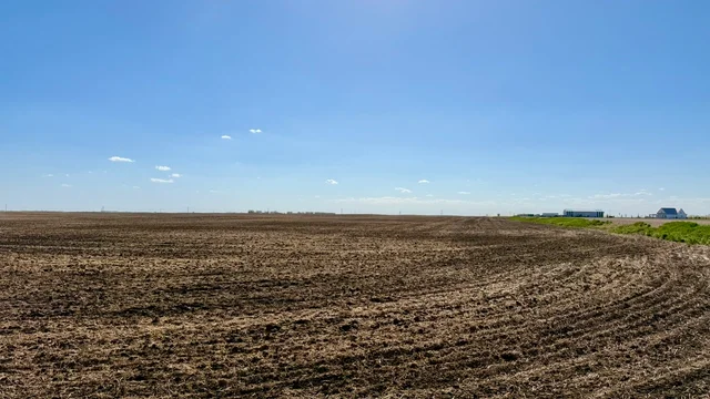 Lumsden-2.jpeg