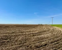 Lumsden-4.jpeg
