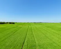 Neudorf-10.jpeg