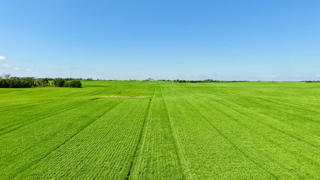 Neudorf-10.jpeg