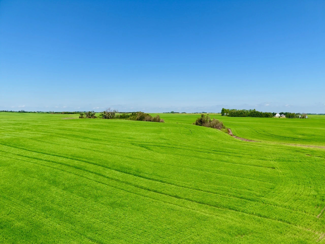 Neudorf-12.jpeg