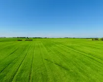 Neudorf-13.jpeg