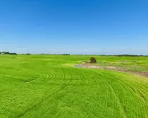 Neudorf-20.jpeg