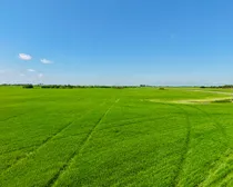 Neudorf-24.jpeg