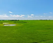 Neudorf-25.jpeg