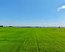 Neudorf-26.jpeg