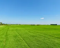 Neudorf-27.jpeg